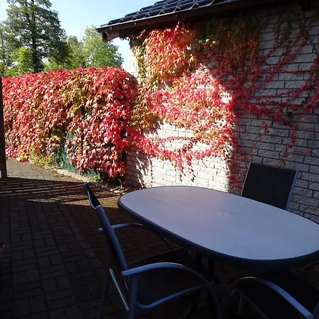 Im Gruenen Mit Terrasse Wf Апартаменты *