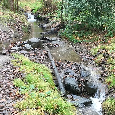 Im Gruenen Mit Terrasse Wf Хердеке
