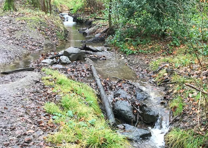 Im Gruenen Mit Terrasse Wf Herdecke